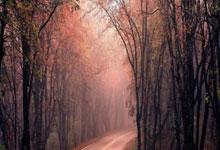 中足联本月底成立，它成立后，中国足协还能管什么？.