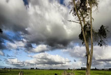 [NHL]常规赛：卡尔加里火焰2-3埃德蒙顿油人 集锦.