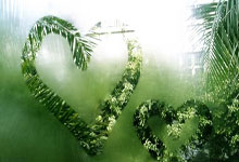 米兰体育官网：专访F1总裁多梅尼卡利：中国市场增长惊人 周冠宇发展道路光明.