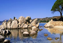 [德甲]霍尔特比解围踢空 格纳布里凌空破门.